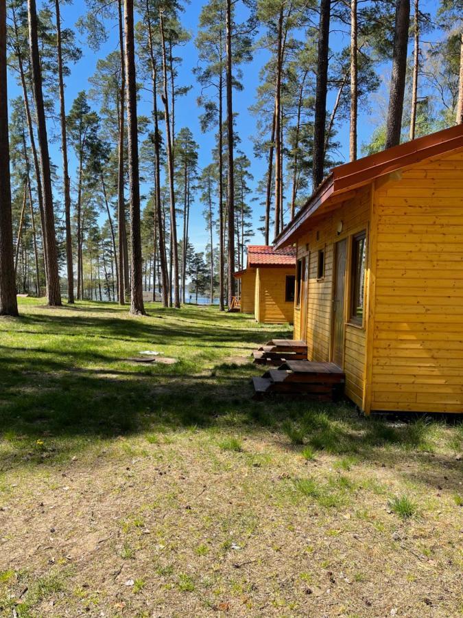 I Pole Namiotowe Pod Sosnami Holiday home *